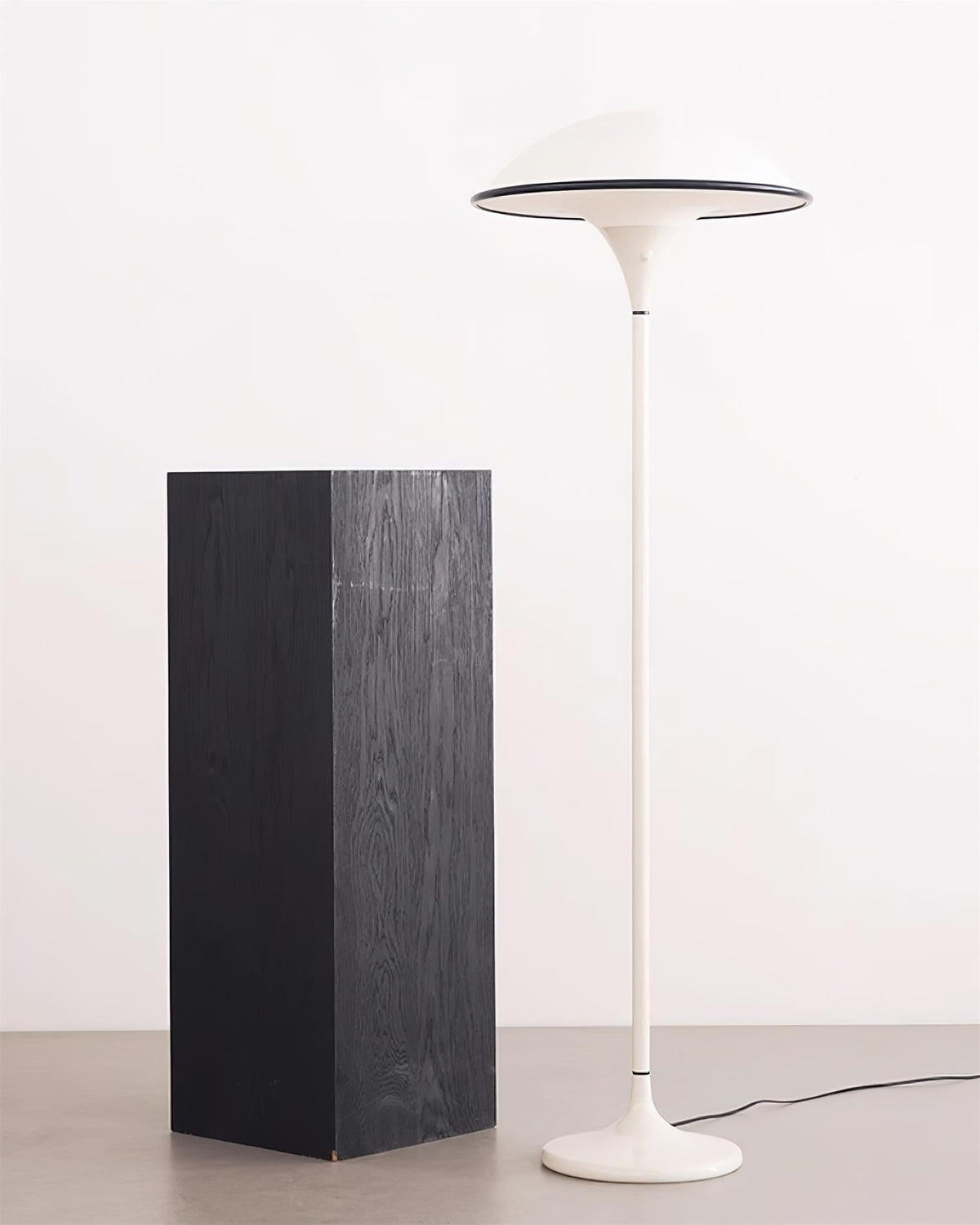 Lucoria Retro Acrylic Floor Lamp