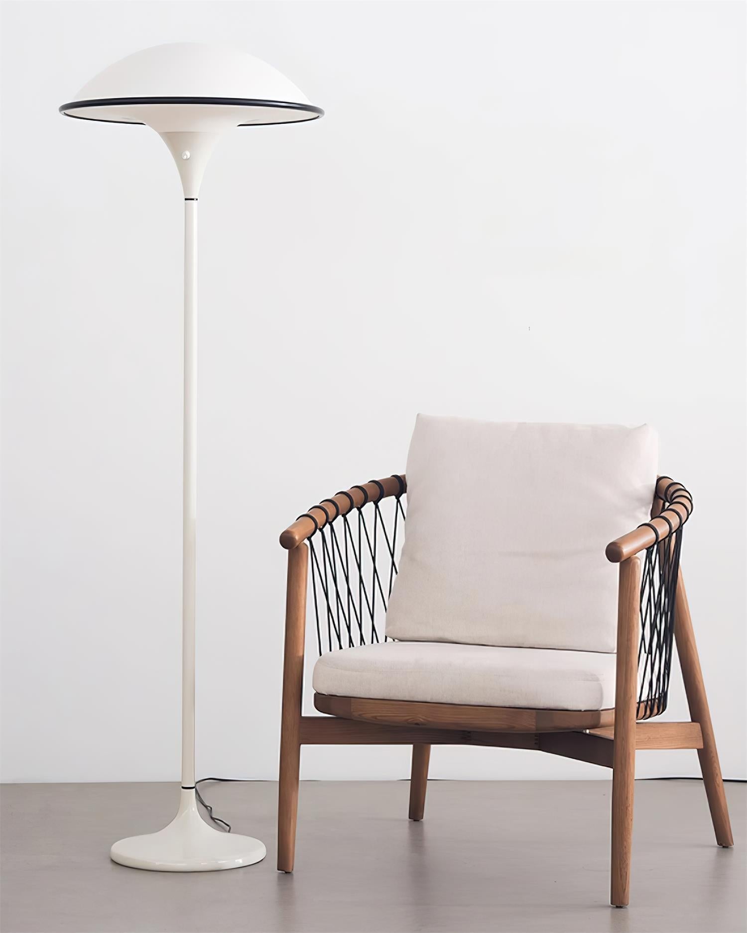 Lucoria Retro Acrylic Floor Lamp