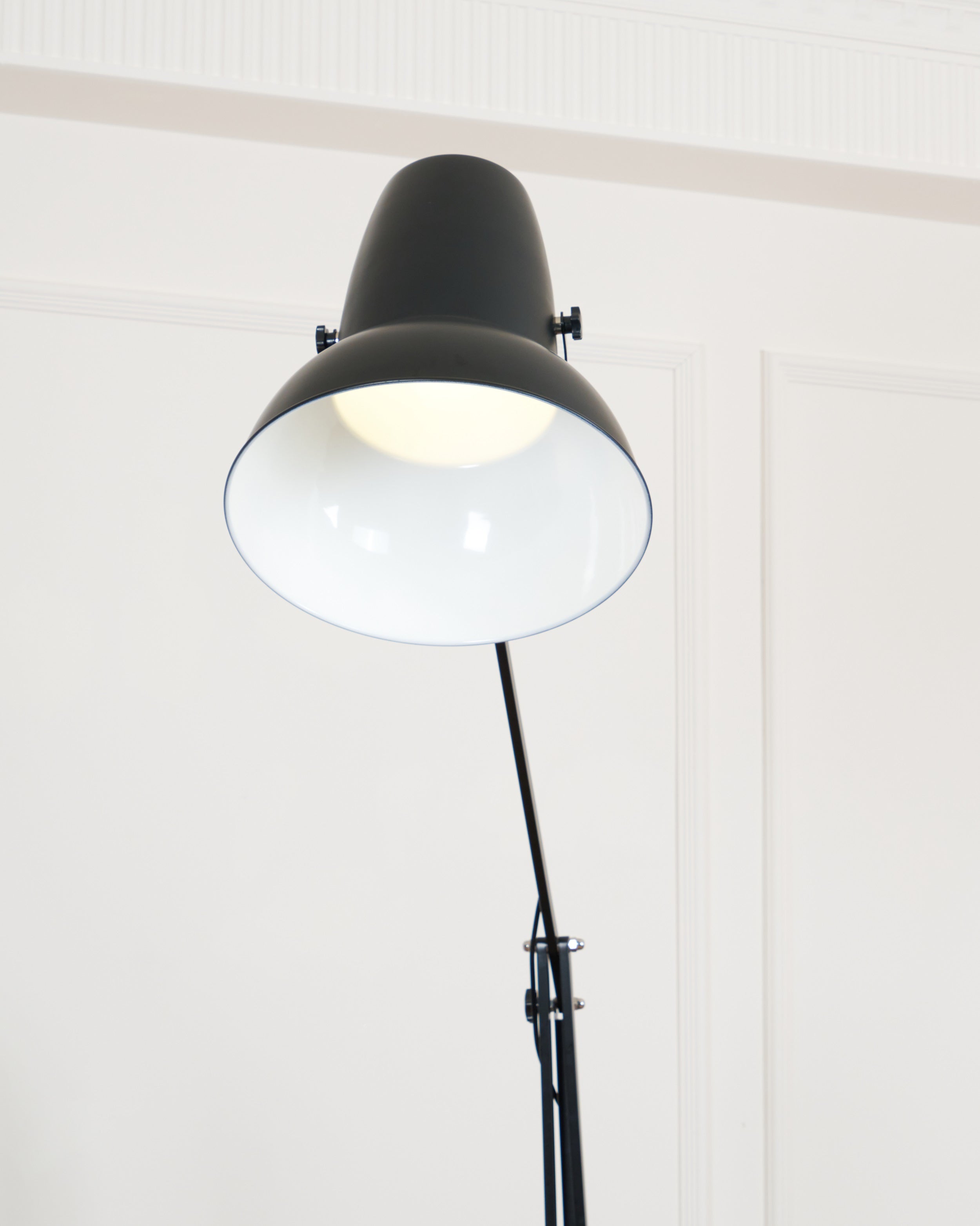 Miriselia Floor Lamp