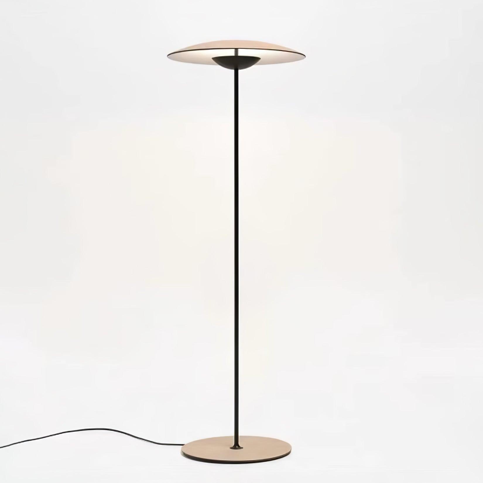 Ferinira Aluminum Minimalist Floor Lamp