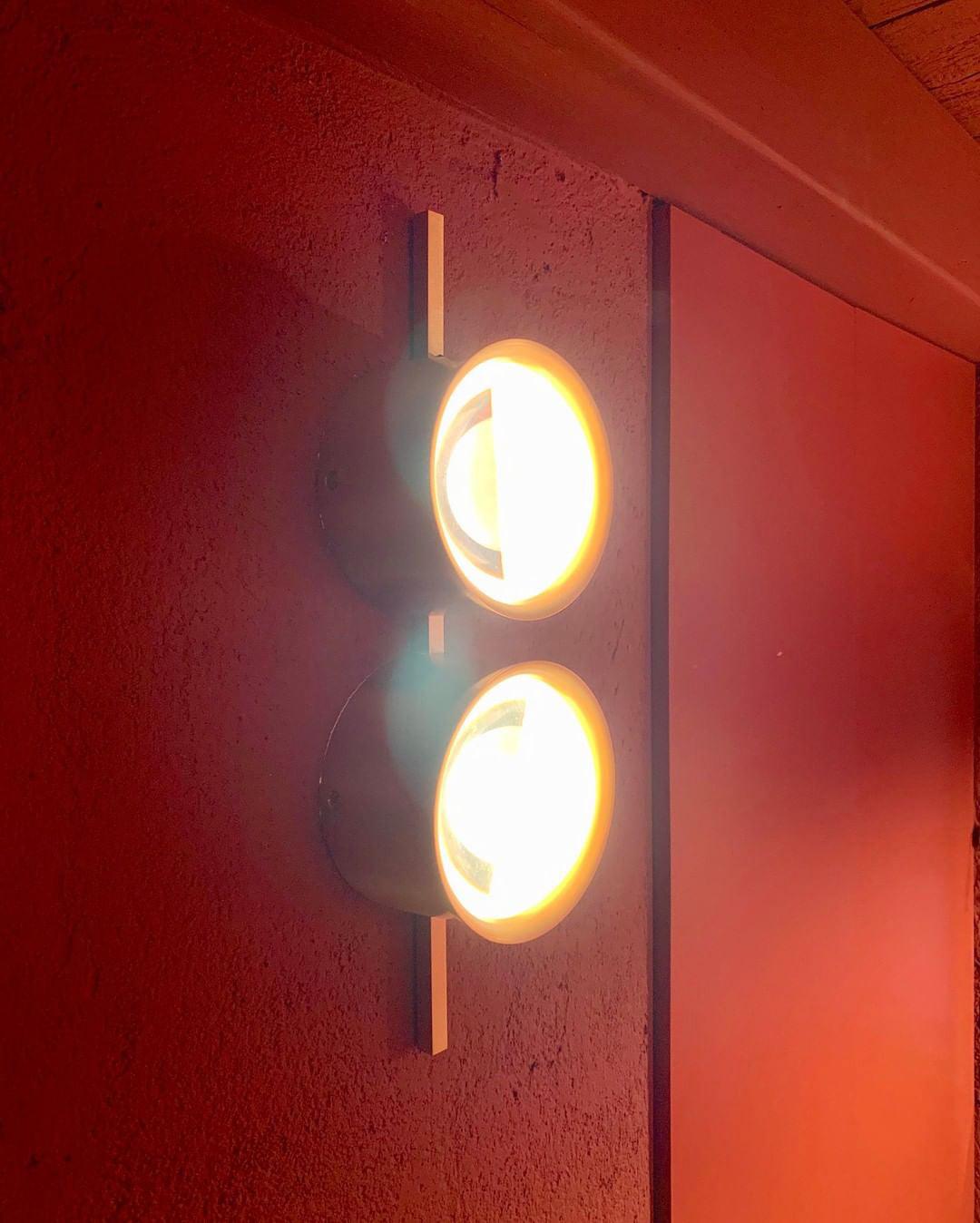 Elynis Brass & Glass Modern Wall Lamp