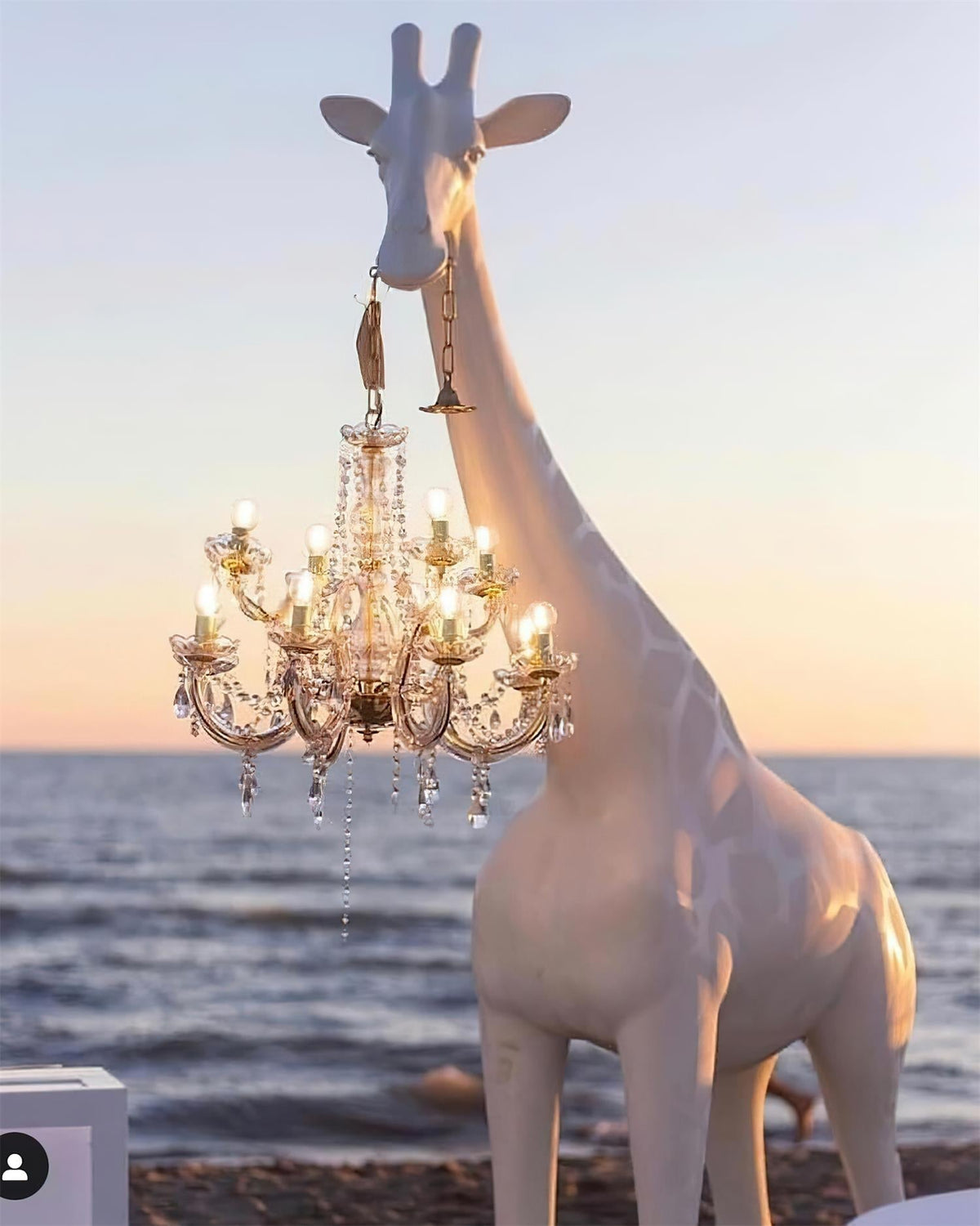 Zorain Whimsical Floor Lamp