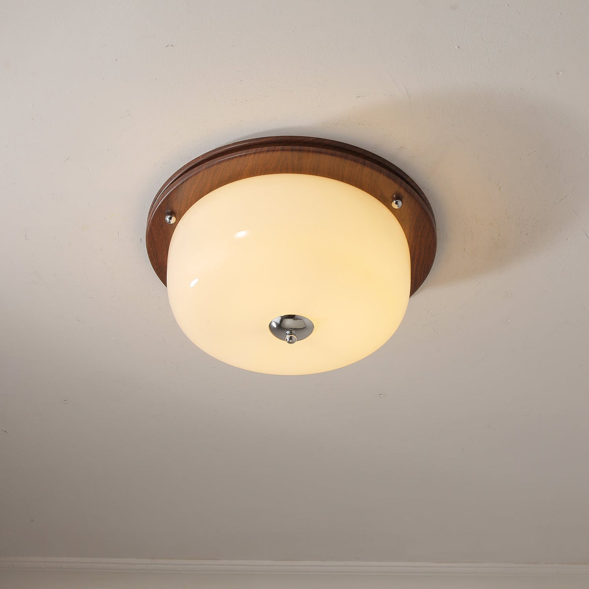 Vetheel Premium Nordic Art Dome Glass Ceiling Light