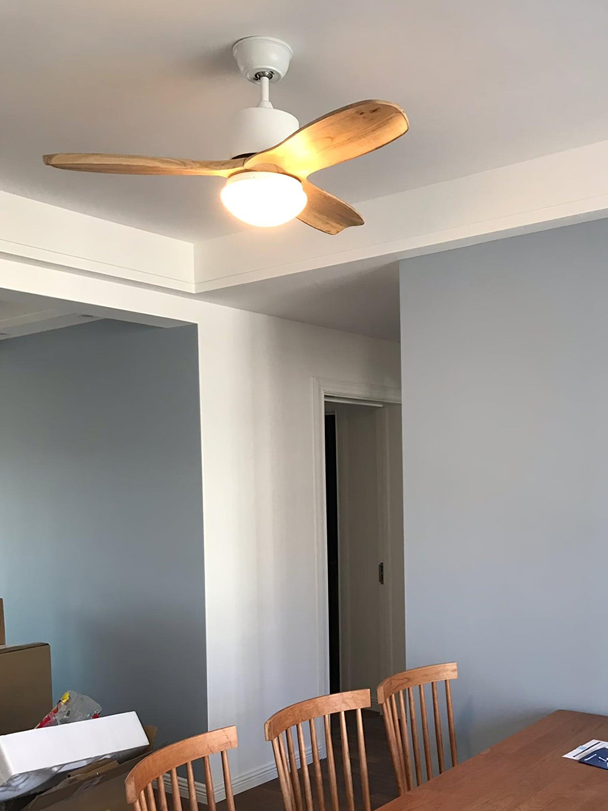 Norirora Elegance Natural Ceiling Fan Light