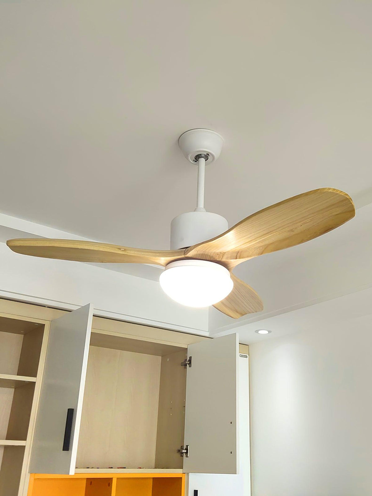 Norirora Elegance Natural Ceiling Fan Light