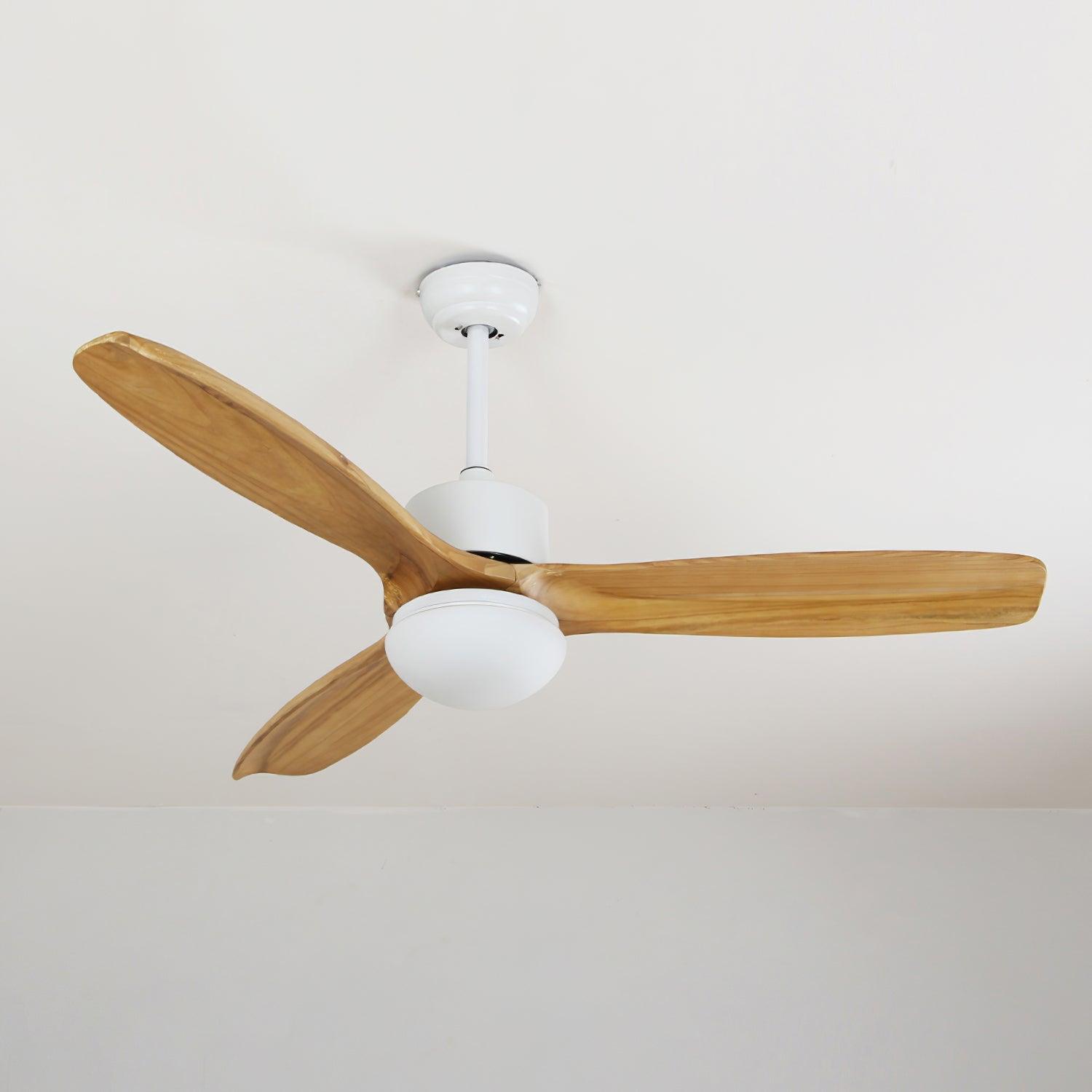 Norirora Elegance Natural Ceiling Fan Light