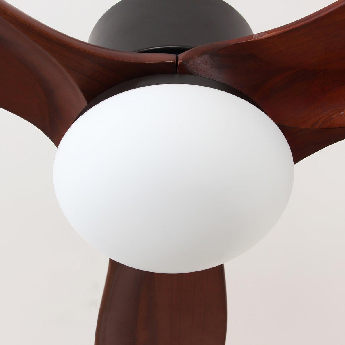 Norirora Elegance Natural Ceiling Fan Light