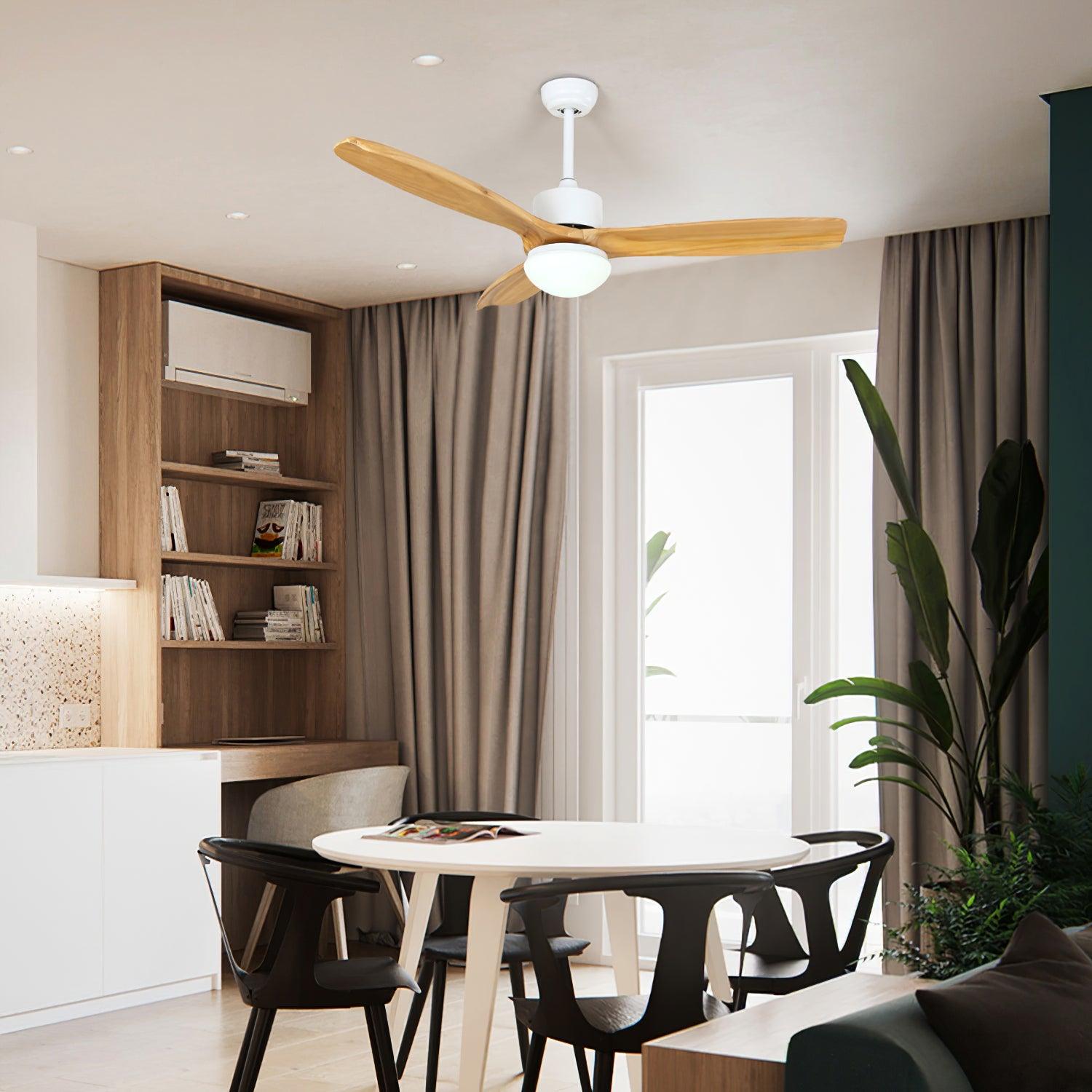 Norirora Elegance Natural Ceiling Fan Light