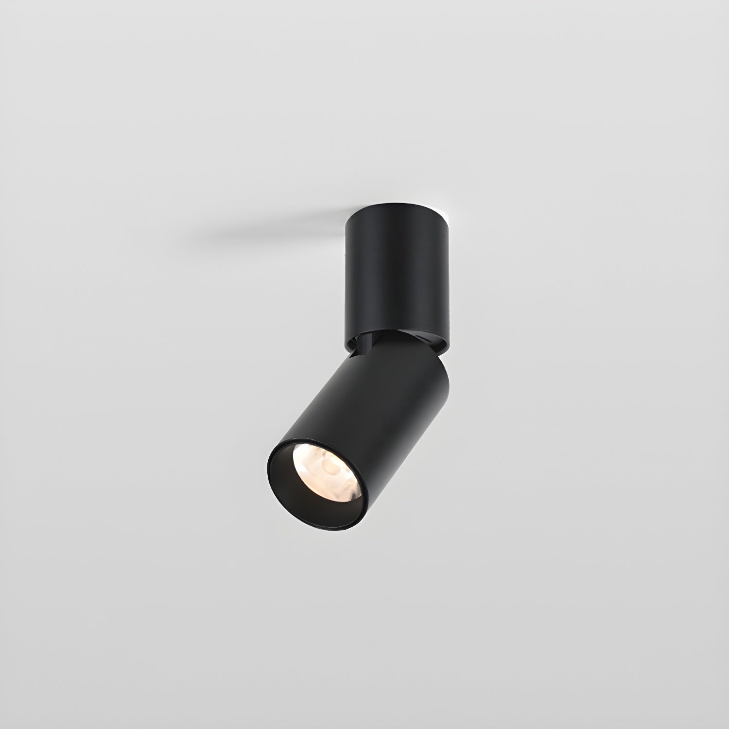 Elvynira Adjustable Surface Downlight Ceiling lamp