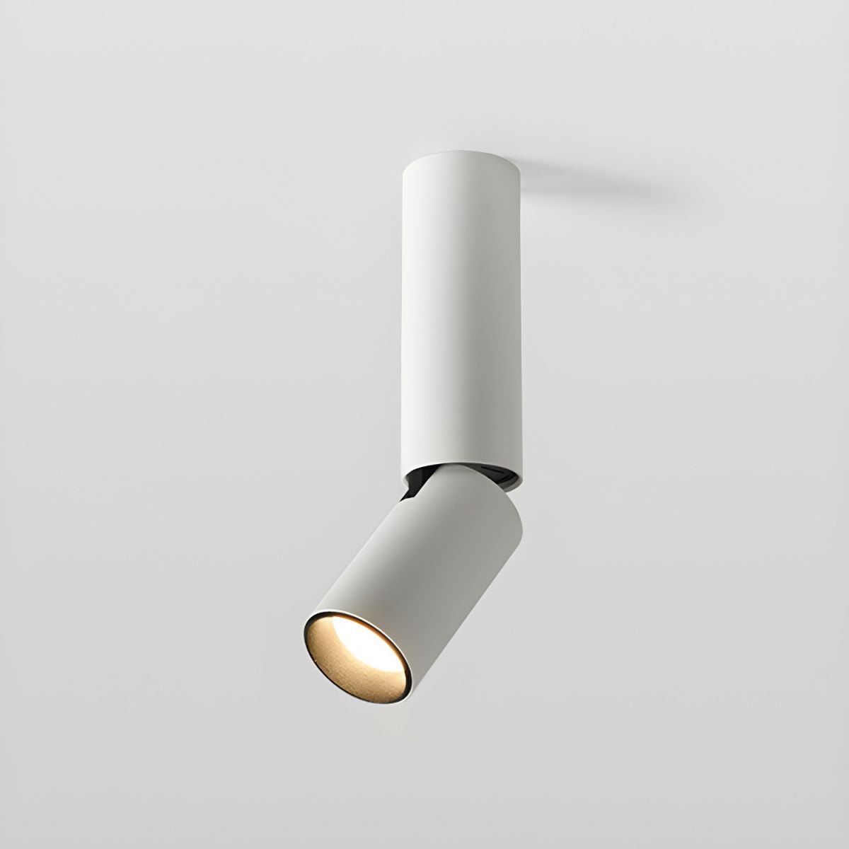 Elvynira Adjustable Surface Downlight Ceiling lamp