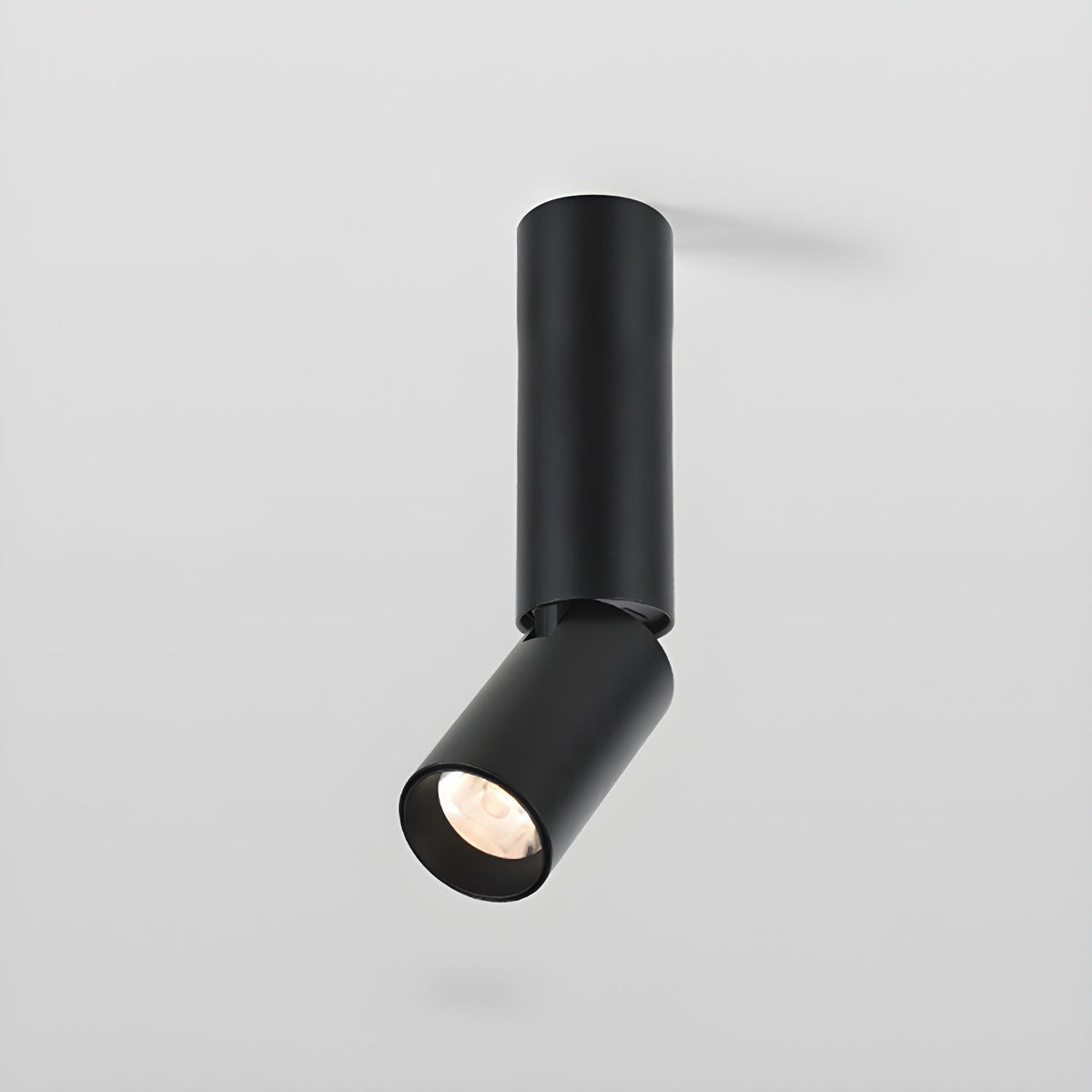 Elvynira Adjustable Surface Downlight Ceiling lamp
