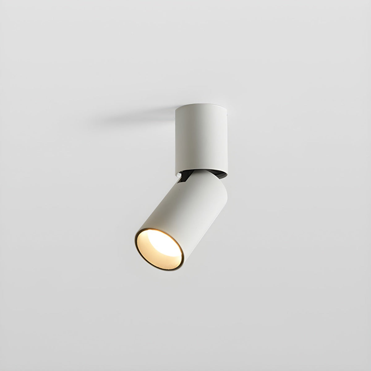 Elvynira Adjustable Surface Downlight Ceiling lamp