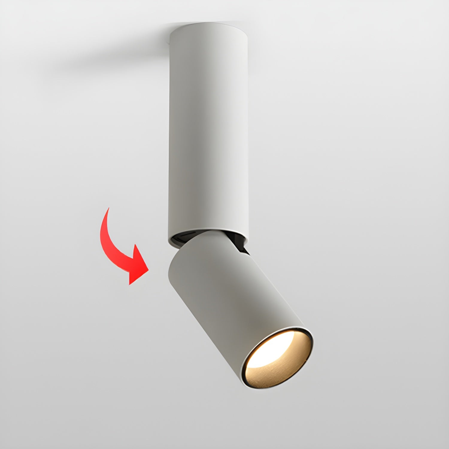 Elvynira Adjustable Surface Downlight Ceiling lamp