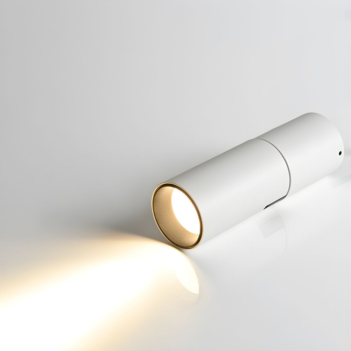 Elvynira Adjustable Surface Downlight Ceiling lamp