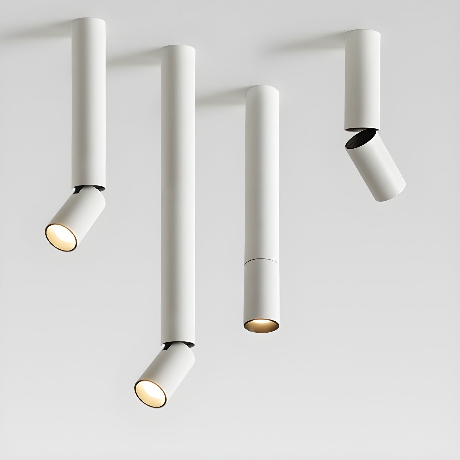Elvynira Adjustable Surface Downlight Ceiling lamp