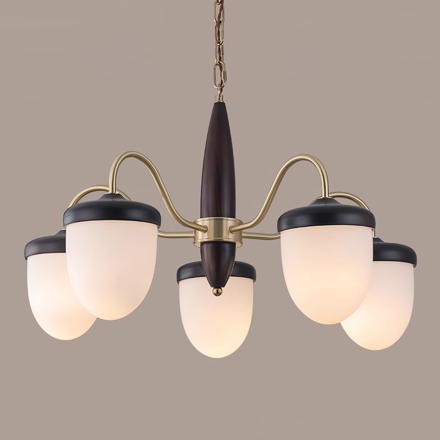 Calanora Chandelier Capsule Arm Rustic