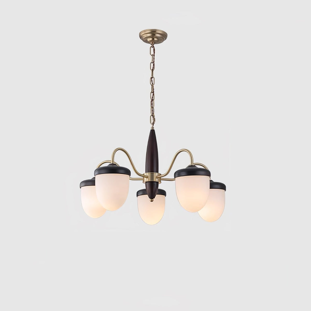 Calanora Chandelier Capsule Arm Rustic