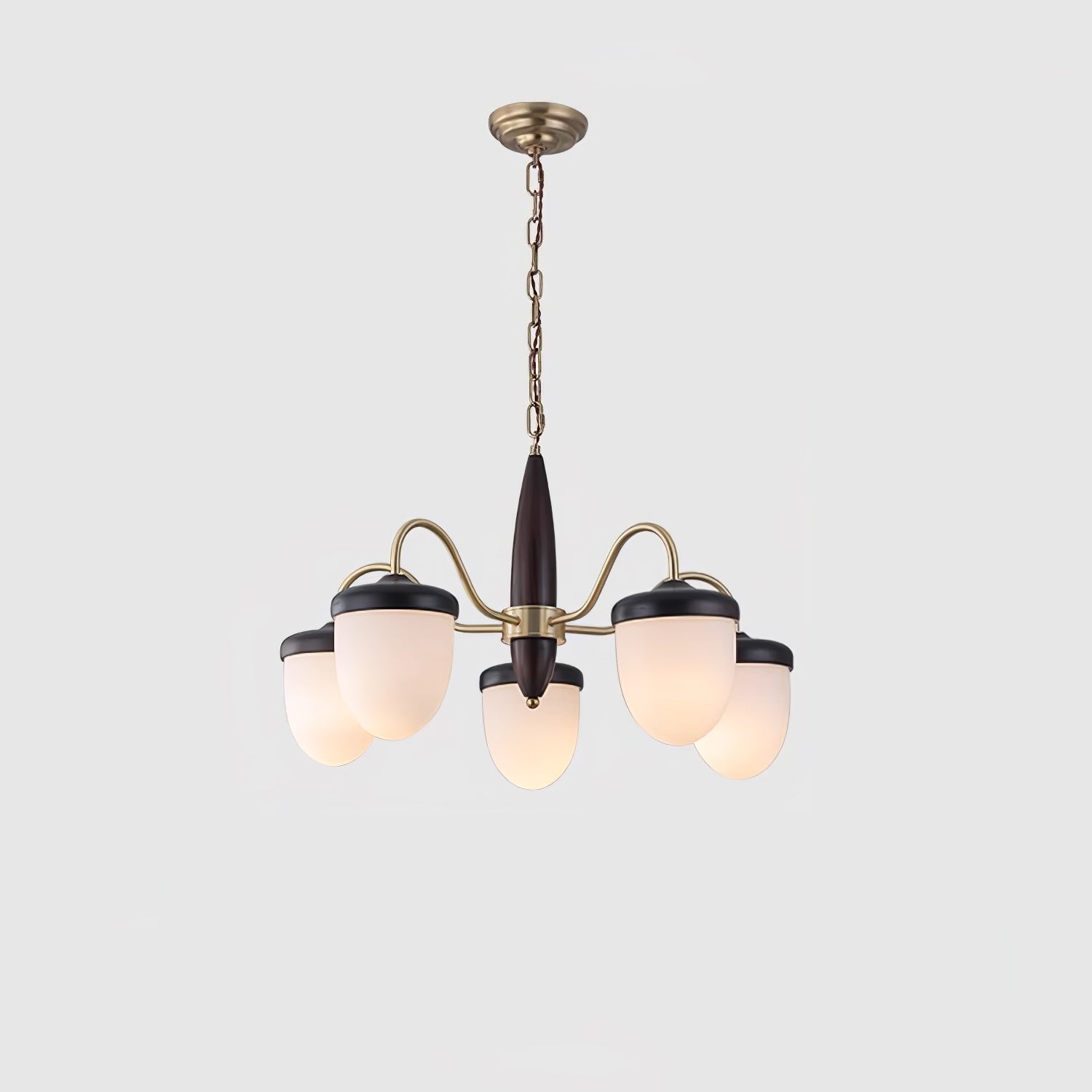 Calanora Chandelier Capsule Arm Rustic