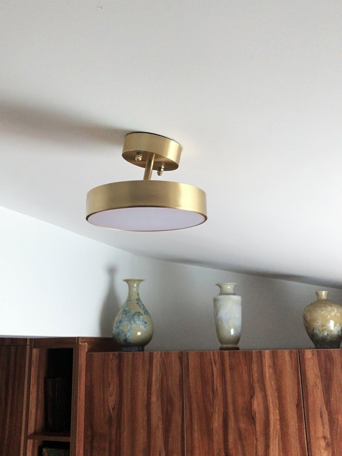 Eilora Modern Minimalist Rotating Ceiling Lamp