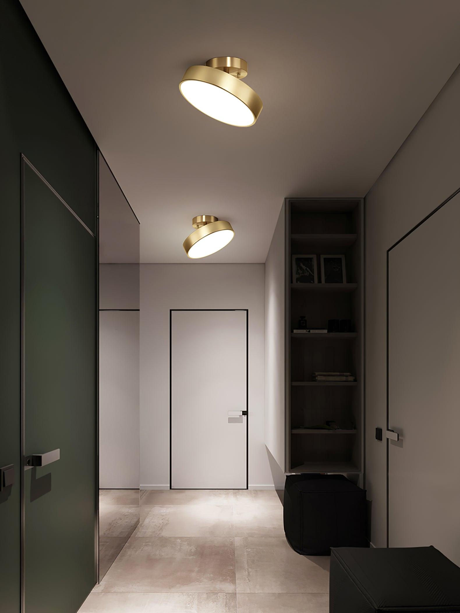 Eilora Modern Minimalist Rotating Ceiling Lamp