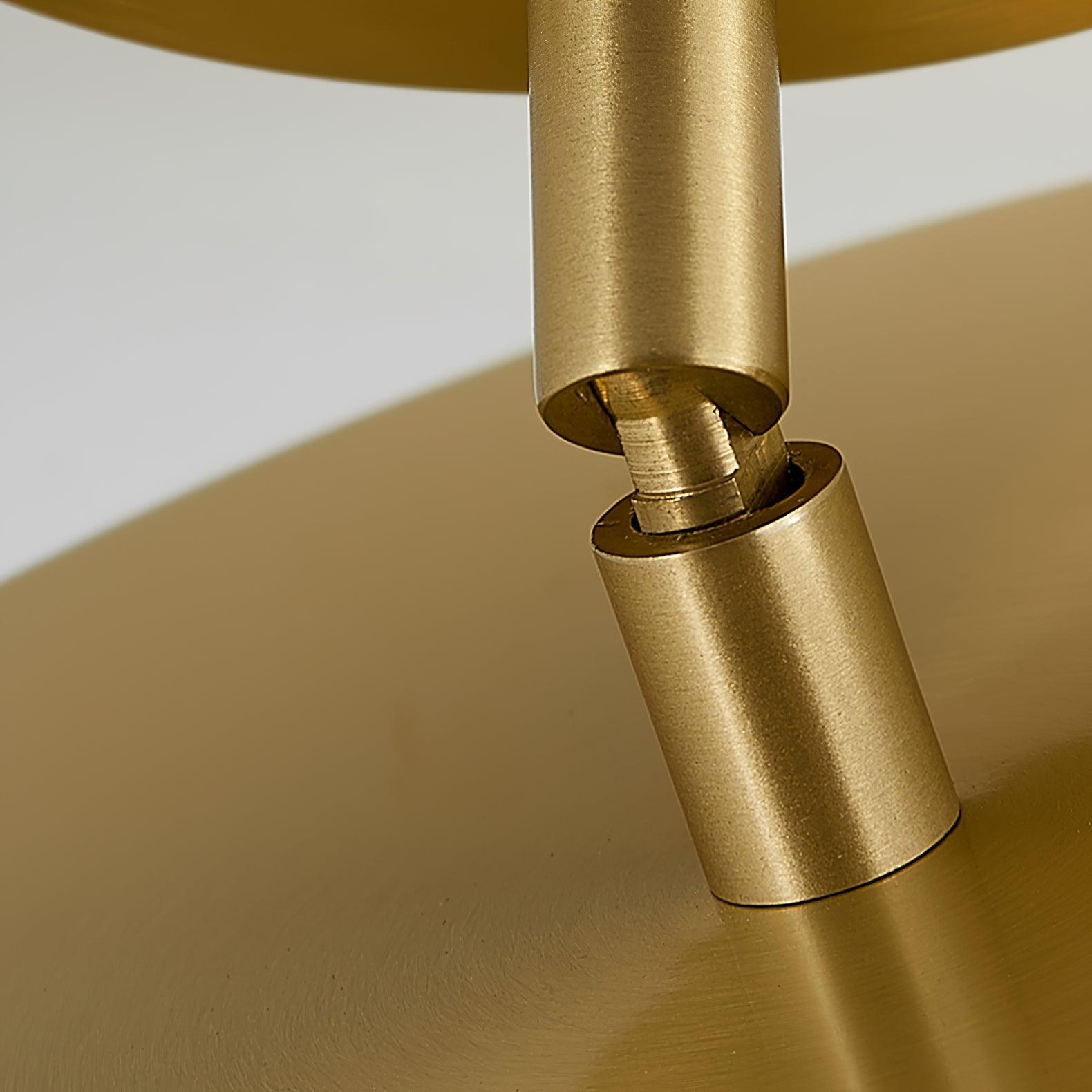 Eilora Modern Minimalist Rotating Ceiling Lamp