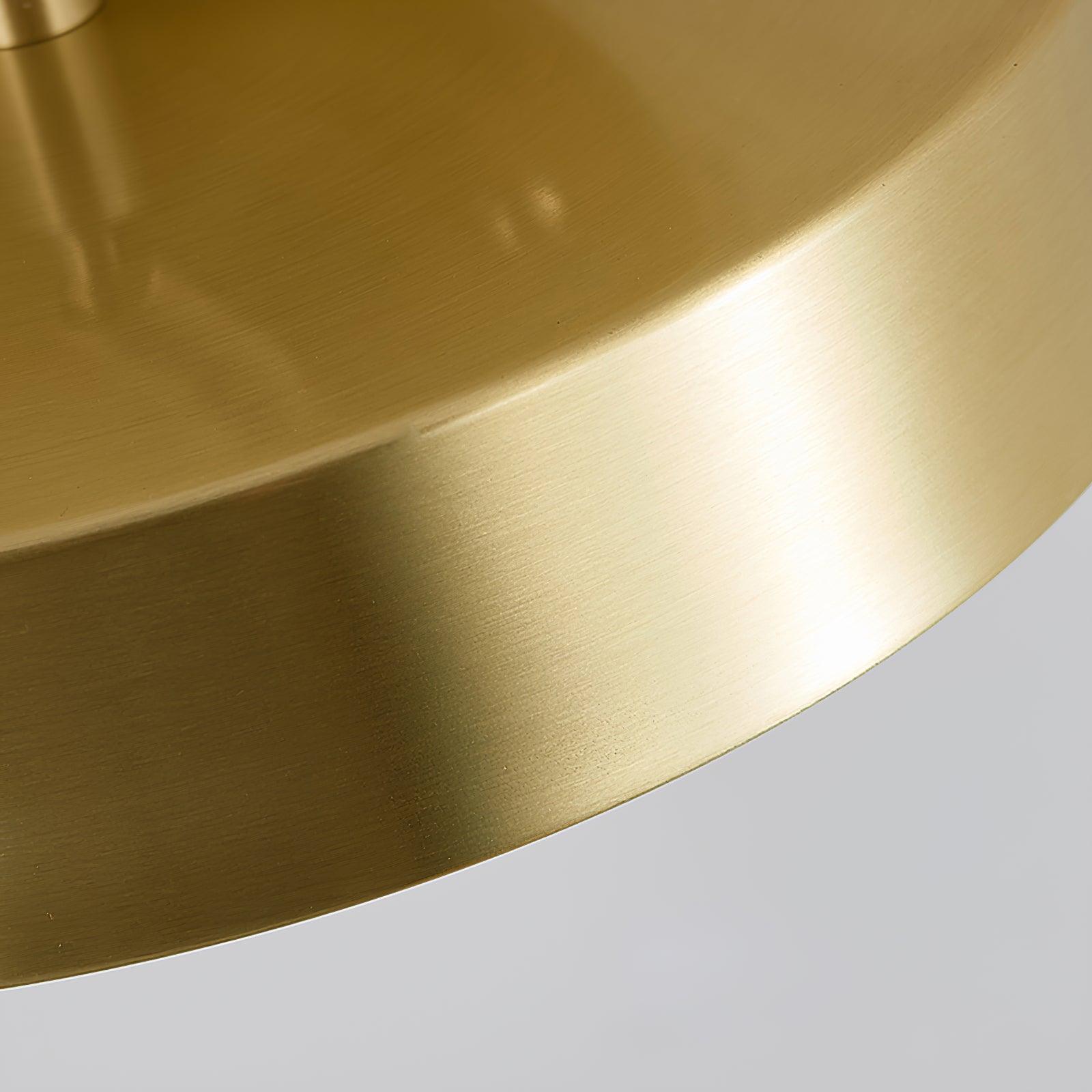 Eilora Modern Minimalist Rotating Ceiling Lamp