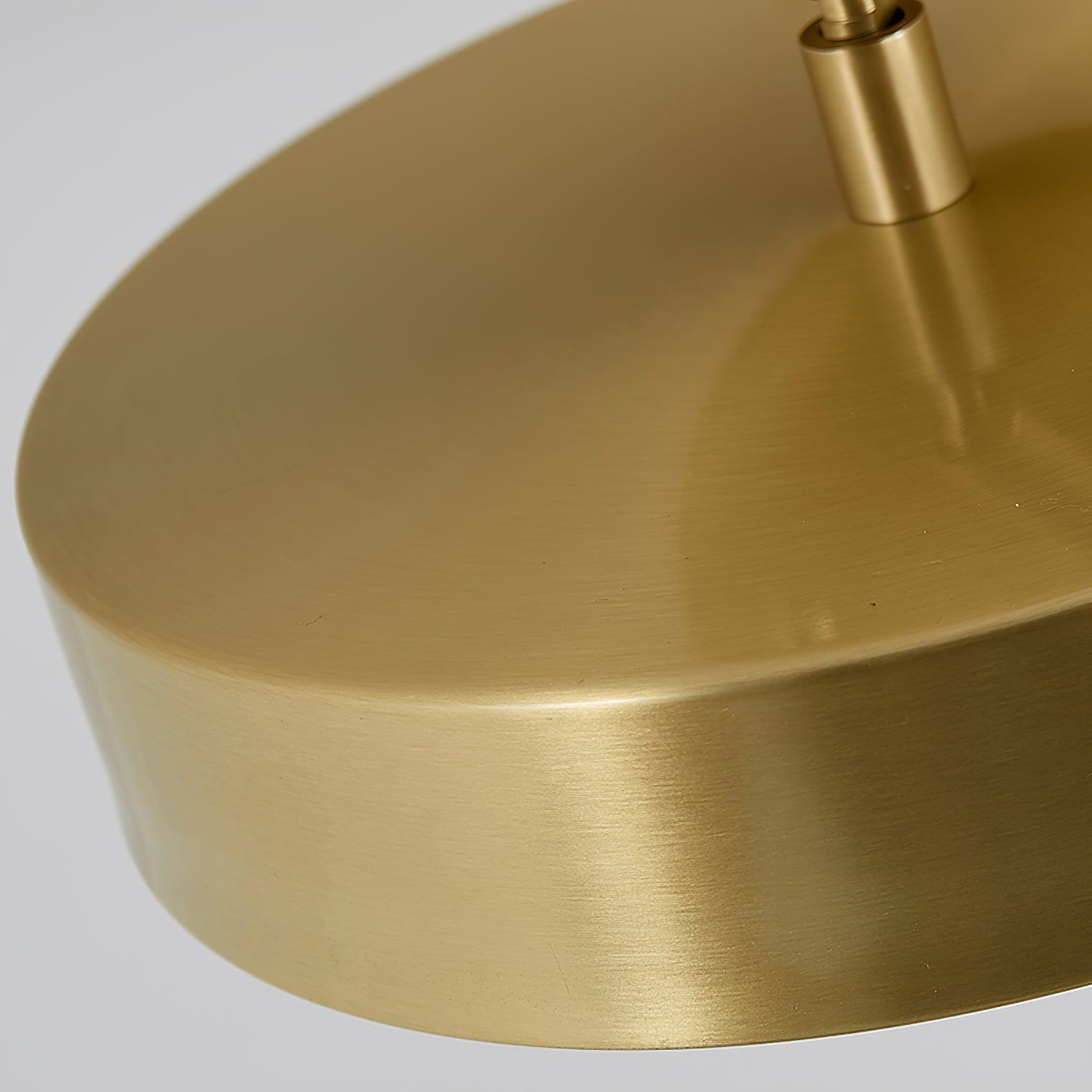 Eilora Modern Minimalist Rotating Ceiling Lamp