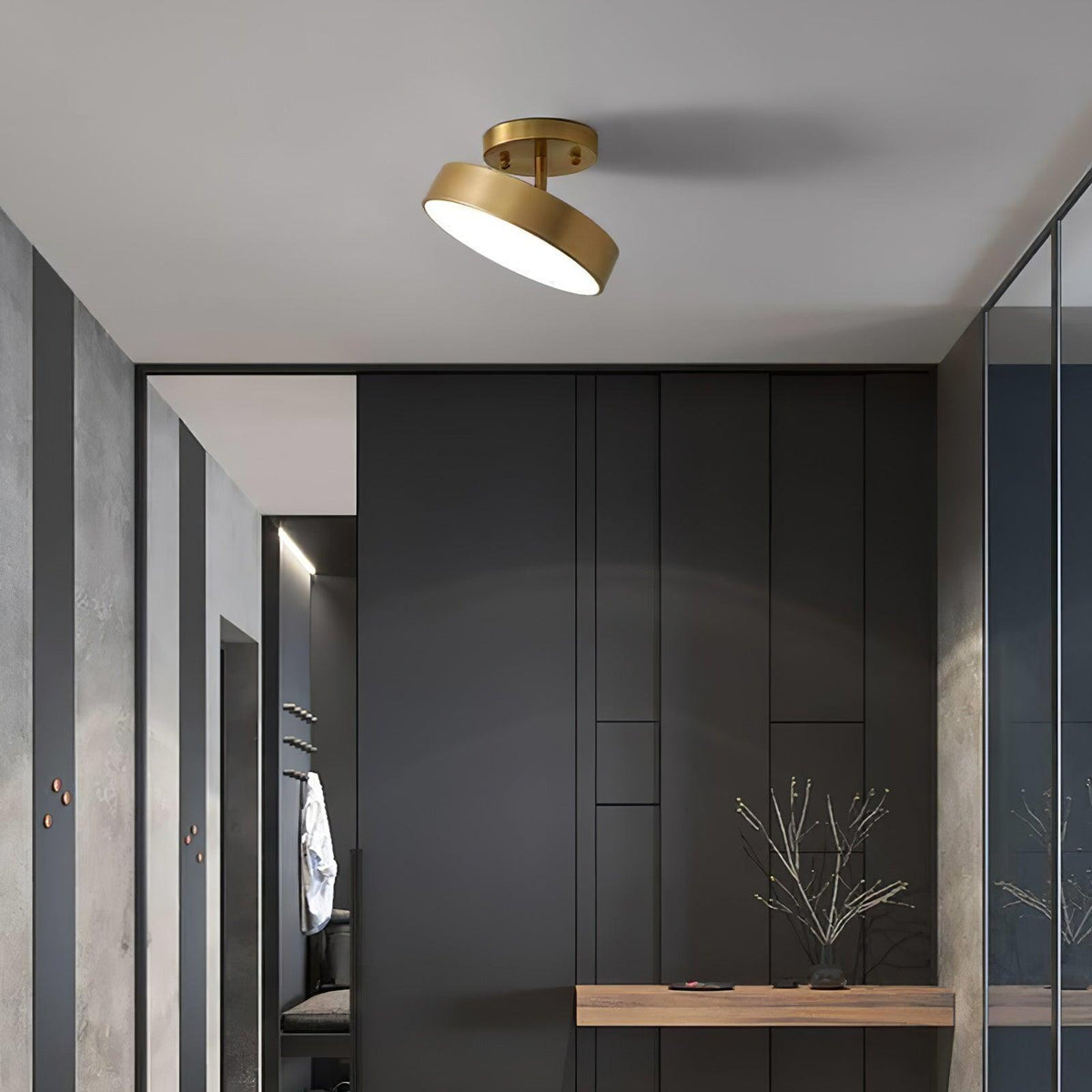 Eilora Modern Minimalist Rotating Ceiling Lamp