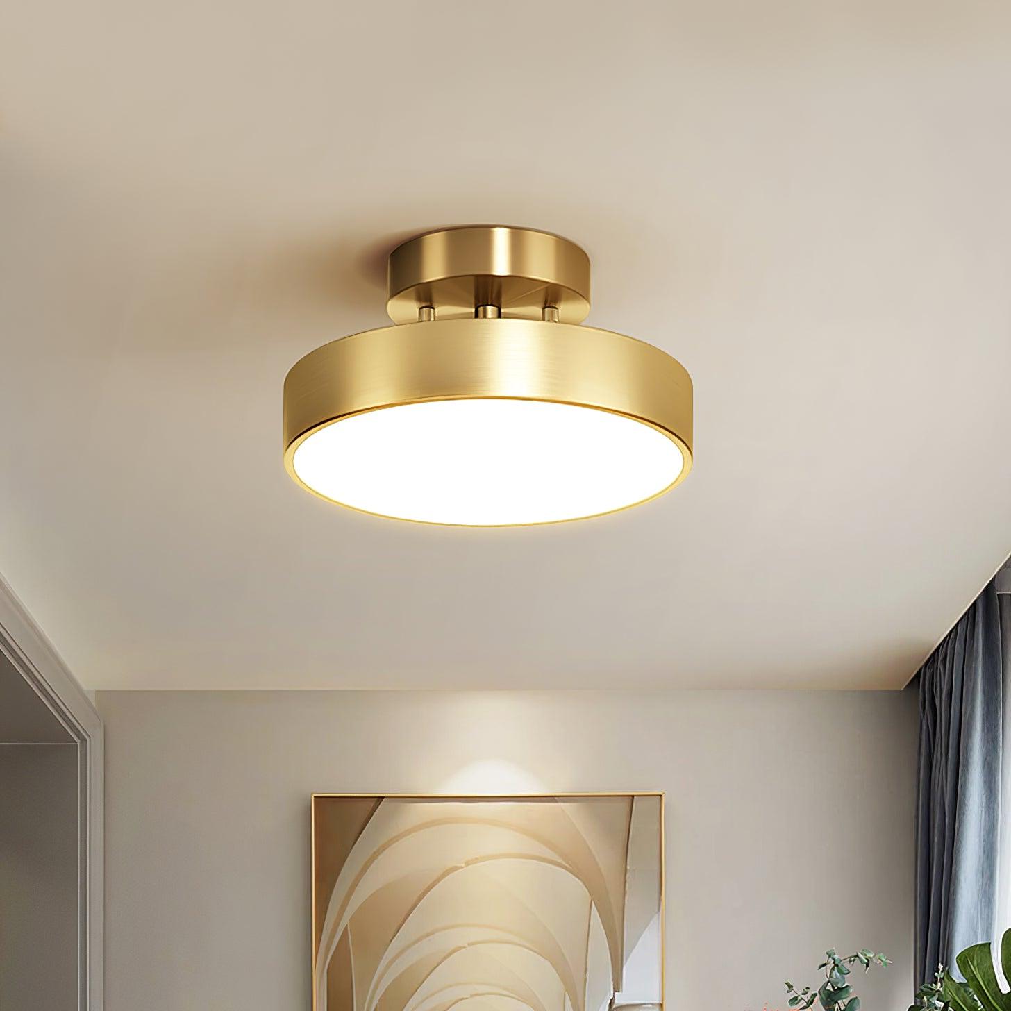 Eilora Modern Minimalist Rotating Ceiling Lamp