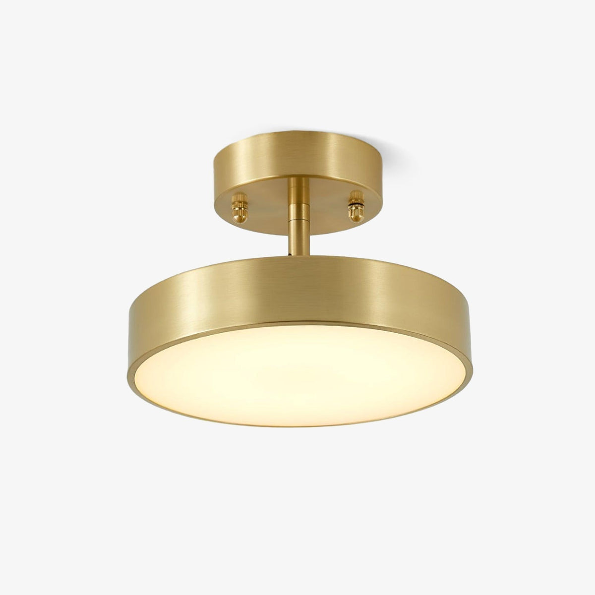 Eilora Modern Minimalist Rotating Ceiling Lamp