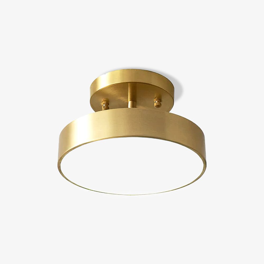 Eilora Modern Minimalist Rotating Ceiling Lamp