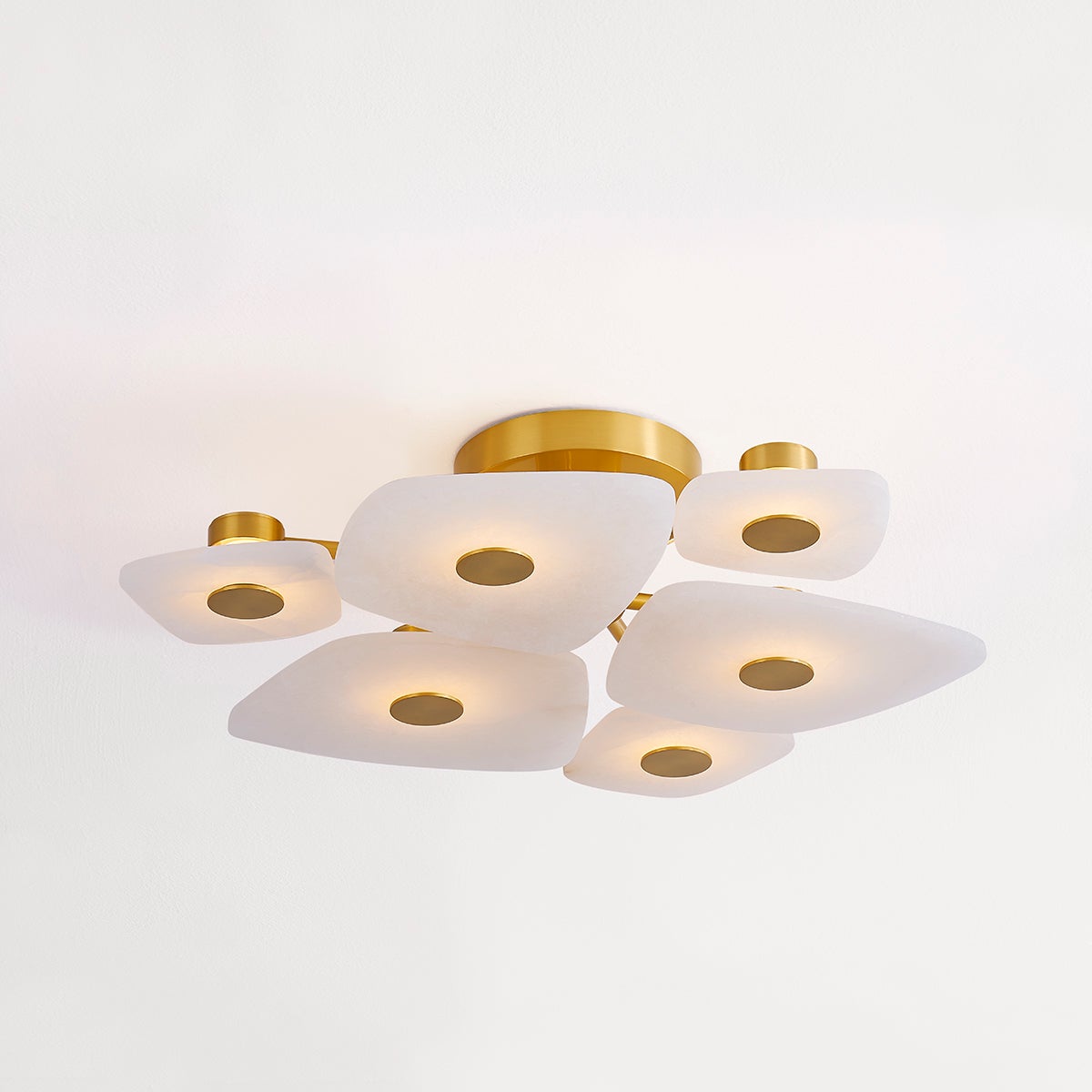 Ilsilyra Petal Shaped Glass Ceiling Light