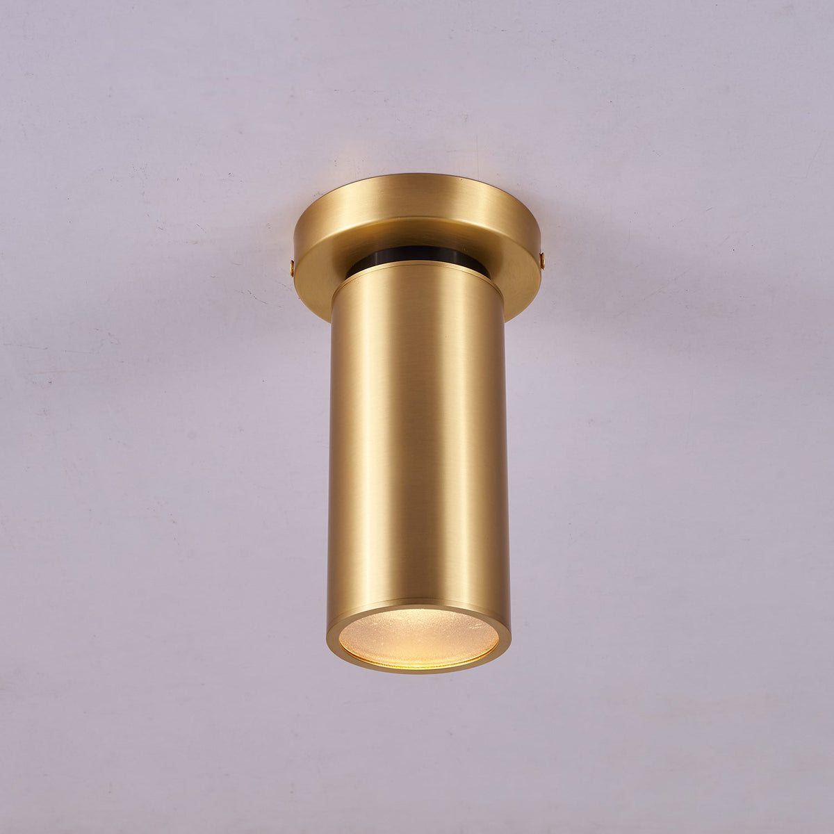Syloran Modern Minimalist Brass Spot Light Ceiling lamp