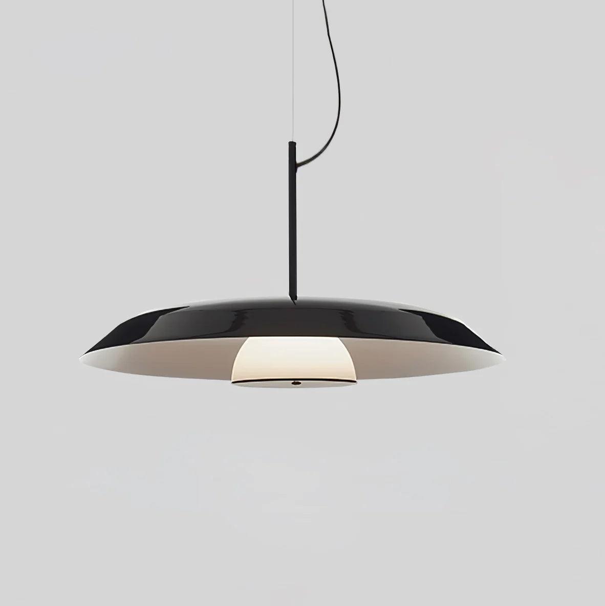 Calyx Acrylic Artistic Pendant Lamp