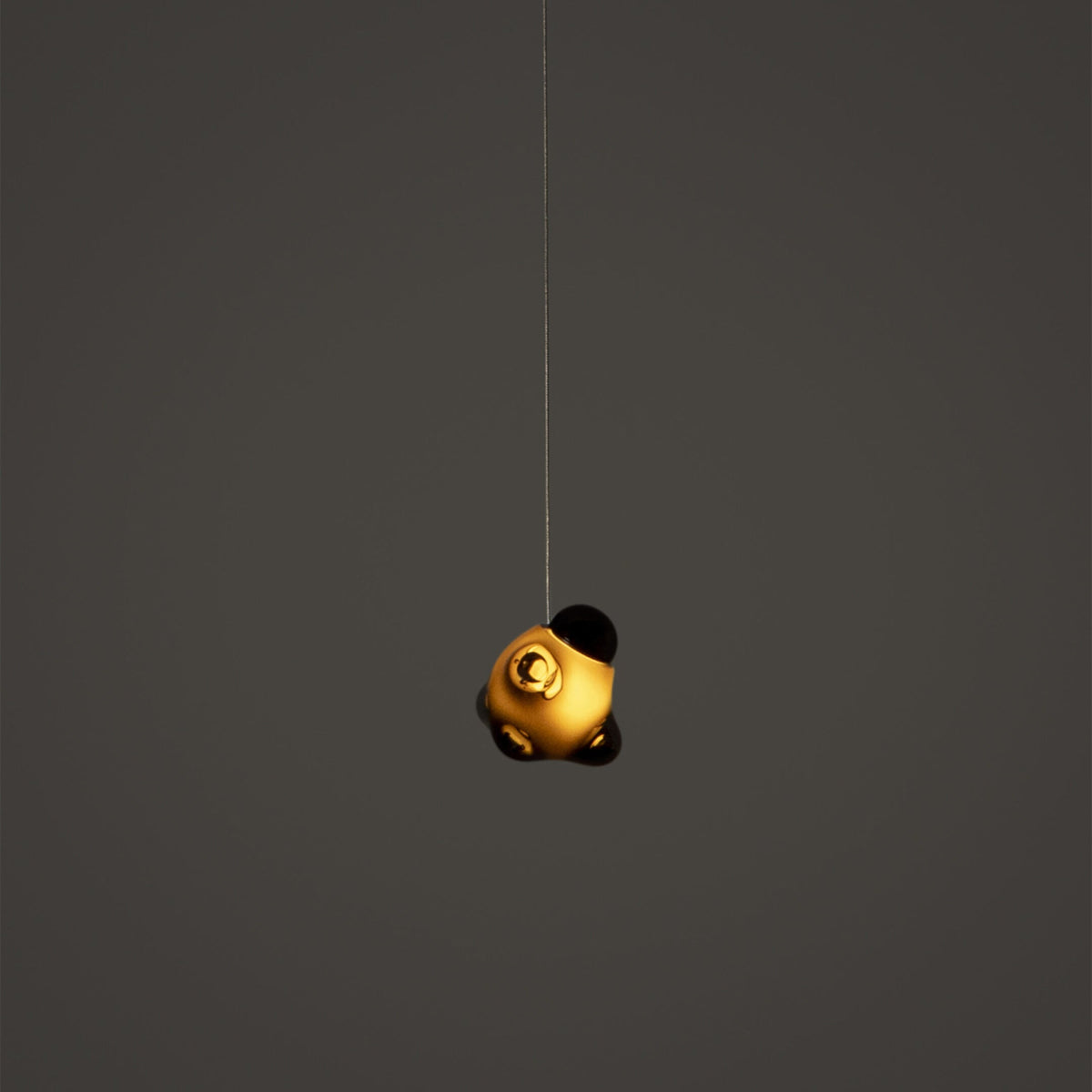 Fleurour Pendant Lamp