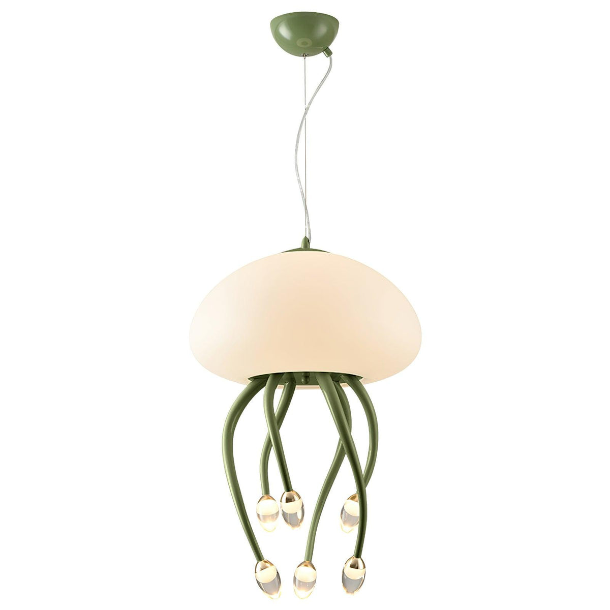 Niruiella Acrylic Cozy Pendant Lamp