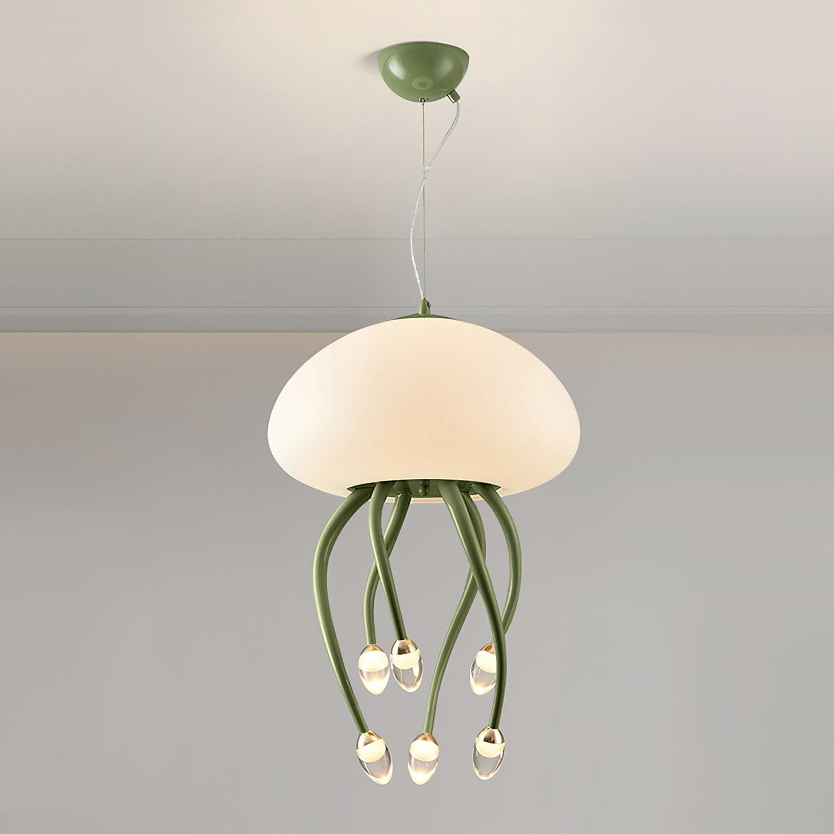 Niruiella Acrylic Cozy Pendant Lamp