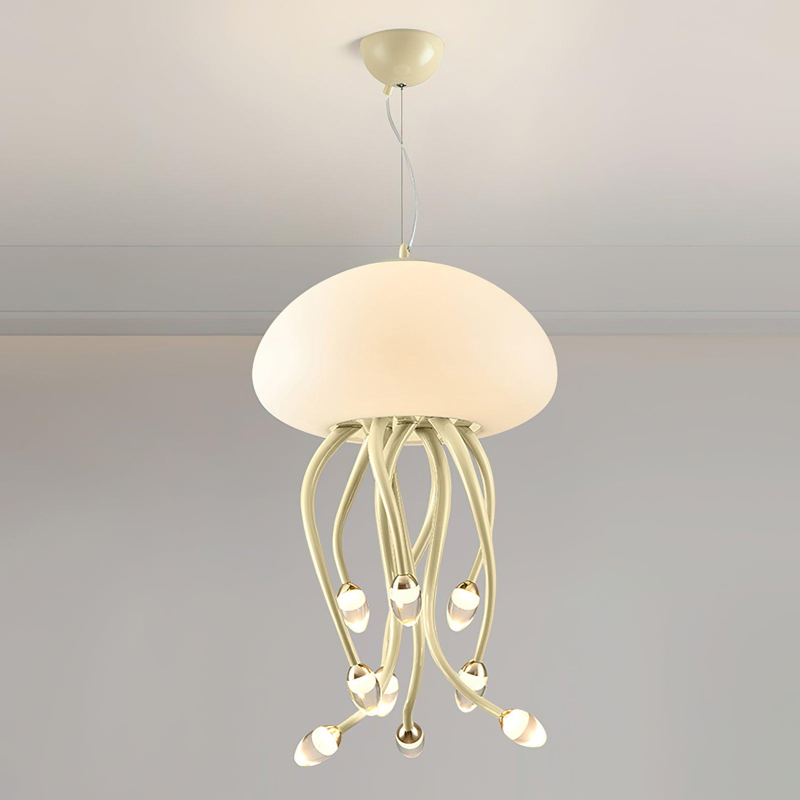 Niruiella Acrylic Cozy Pendant Lamp