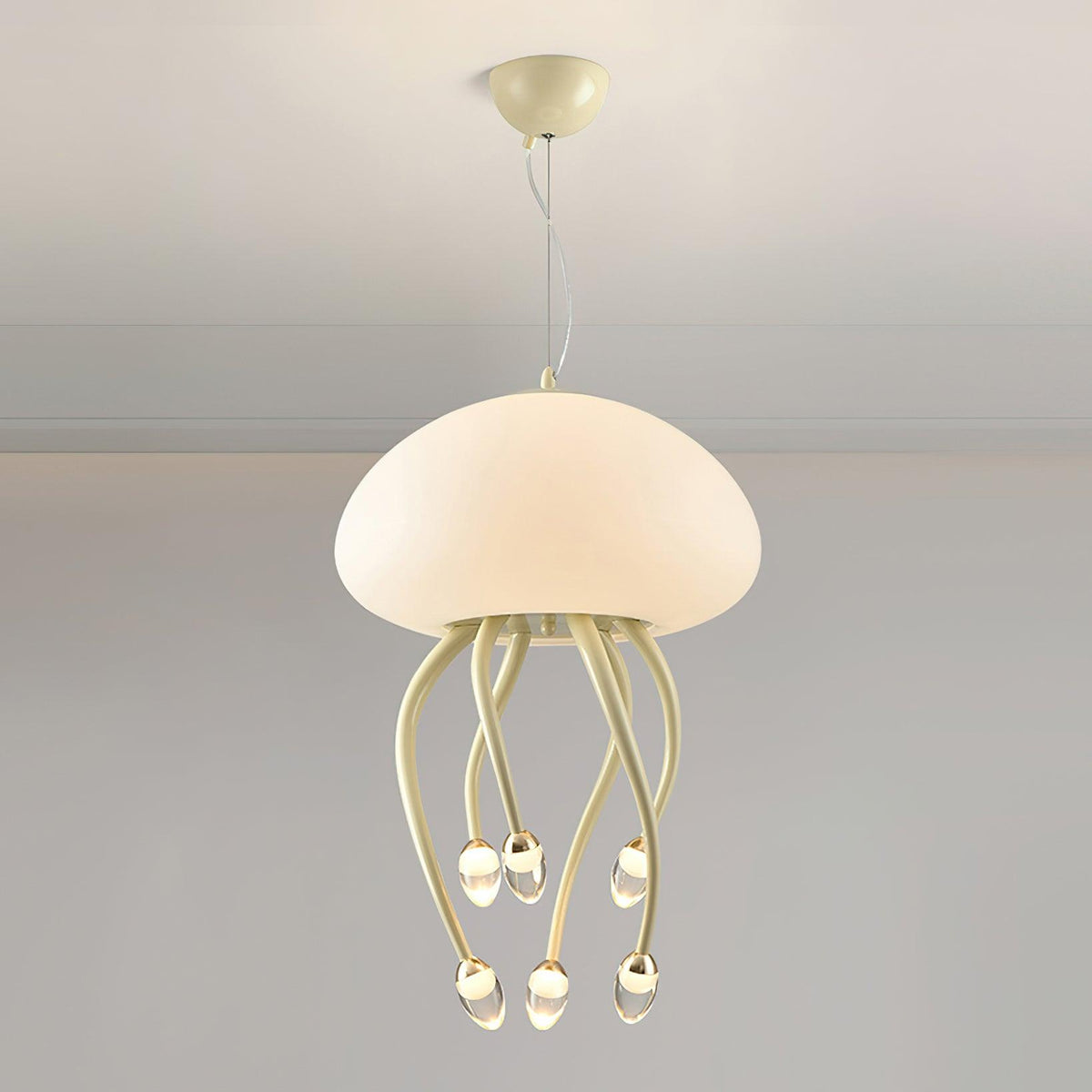 Niruiella Acrylic Cozy Pendant Lamp