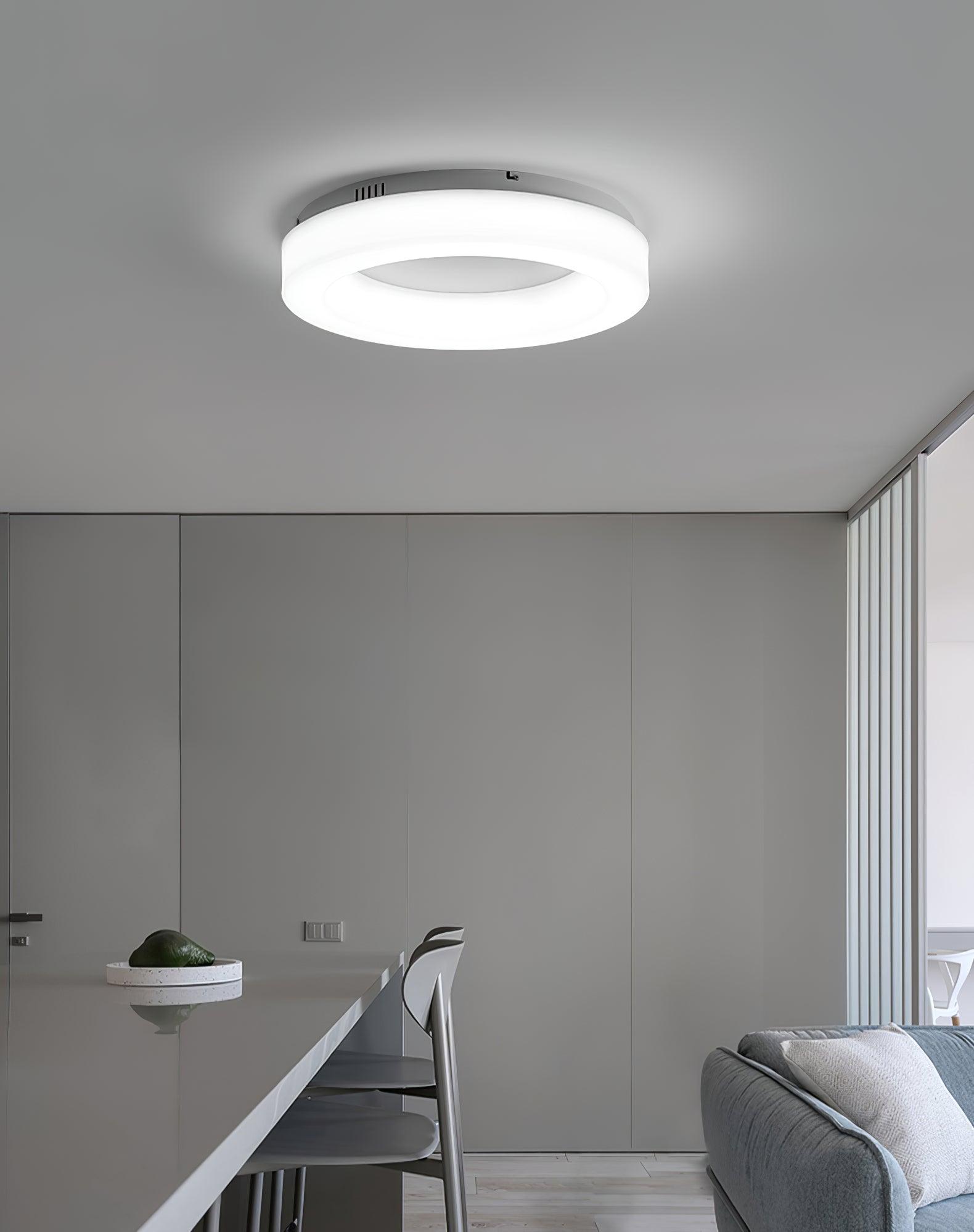 Erraeiel Modern Minimalist Art Ceiling Light