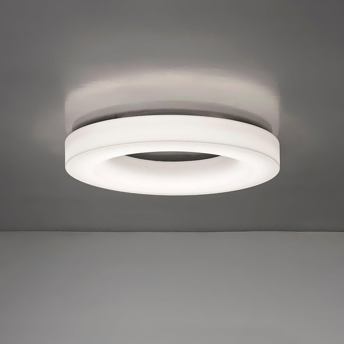 Erraeiel Modern Minimalist Art Ceiling Light