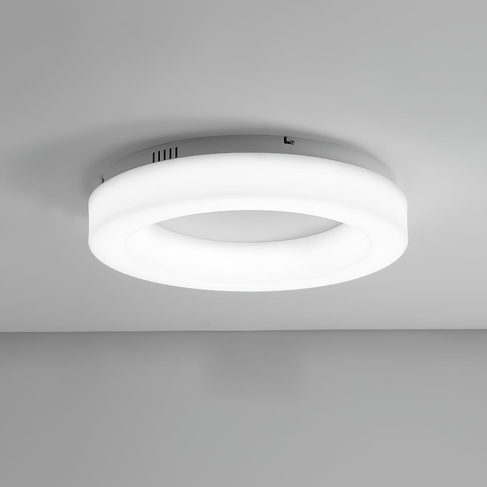 Erraeiel Modern Minimalist Art Ceiling Light