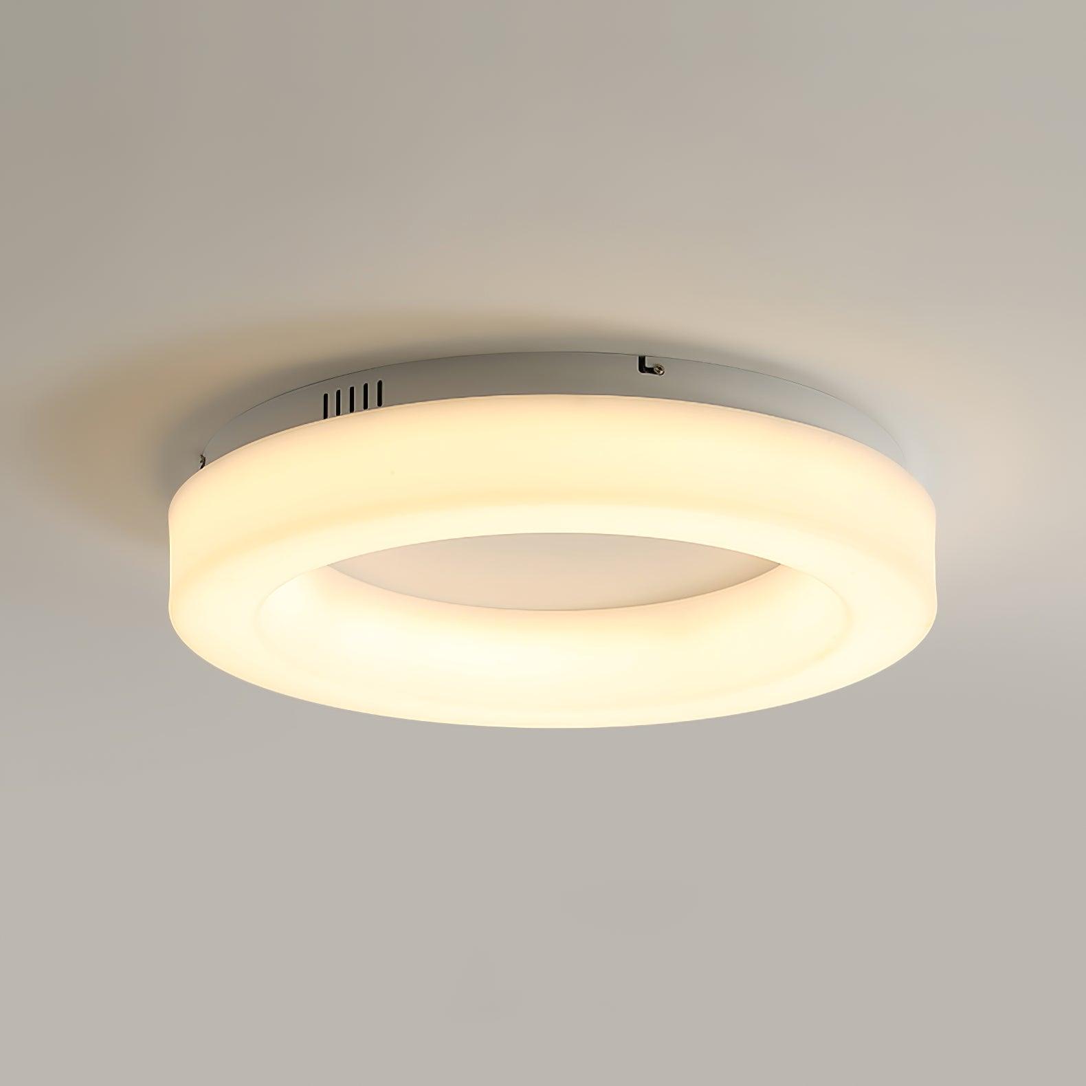 Erraeiel Modern Minimalist Art Ceiling Light