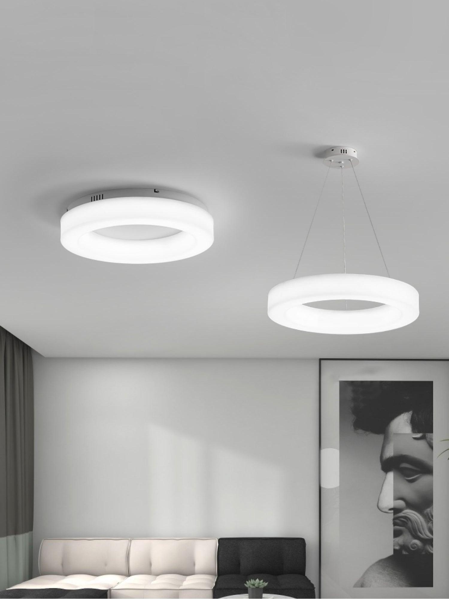 Erraeiel Modern Minimalist Art Ceiling Light
