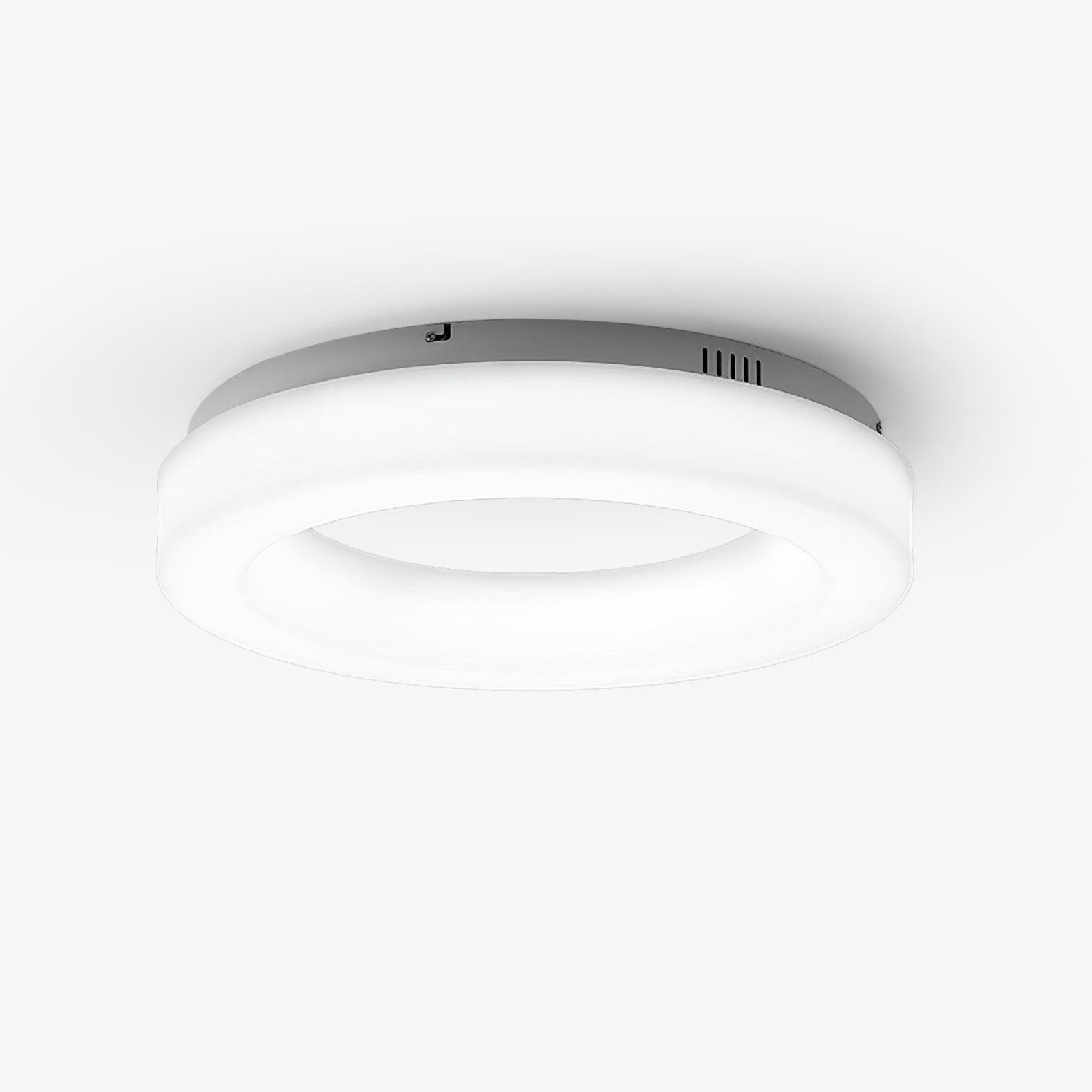 Erraeiel Modern Minimalist Art Ceiling Light
