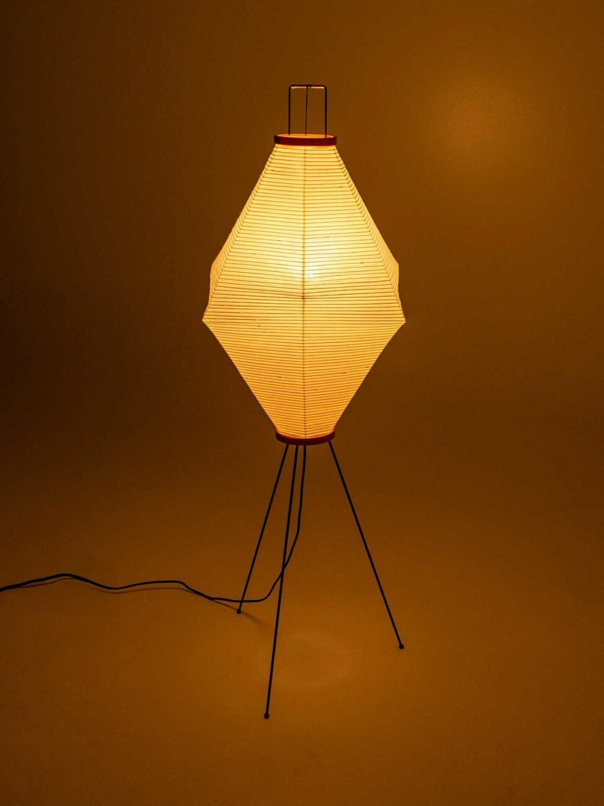 Cirelaine Floor Lamp