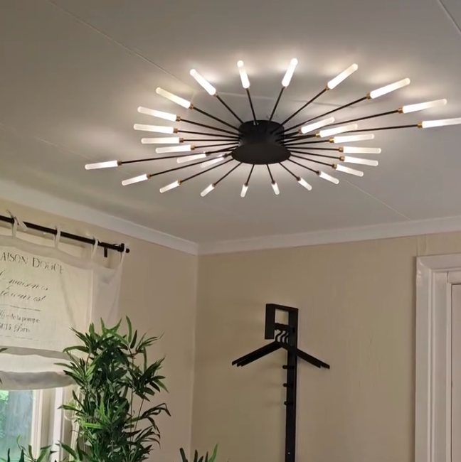 Wesley Flush-Mount Ceiling Light Fireworks, Black/Gold - Neutral Decor