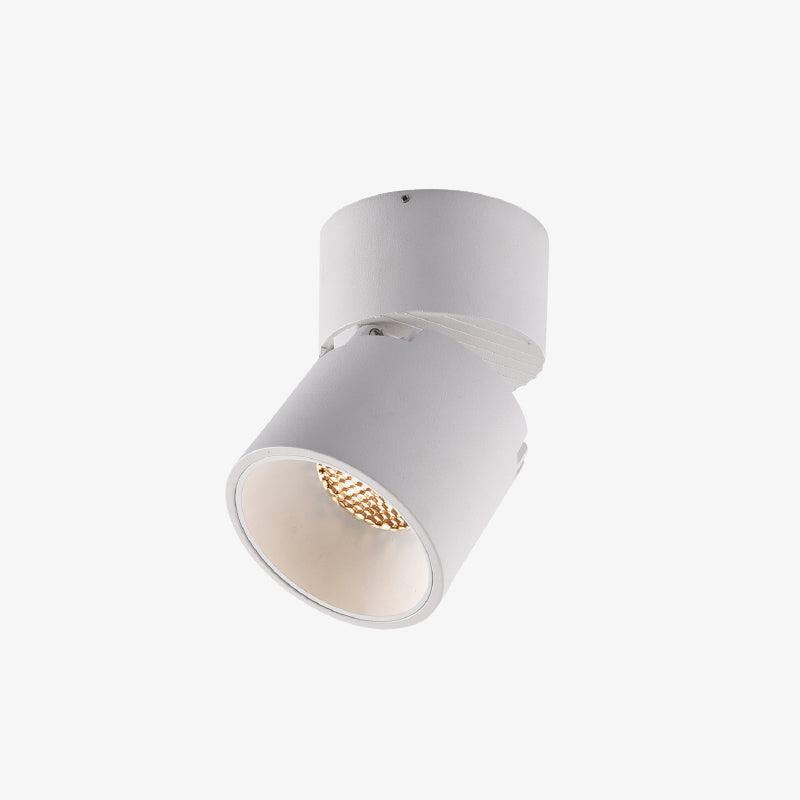 Alvynora Modern Minimalist Spotlights Ceiling lamp