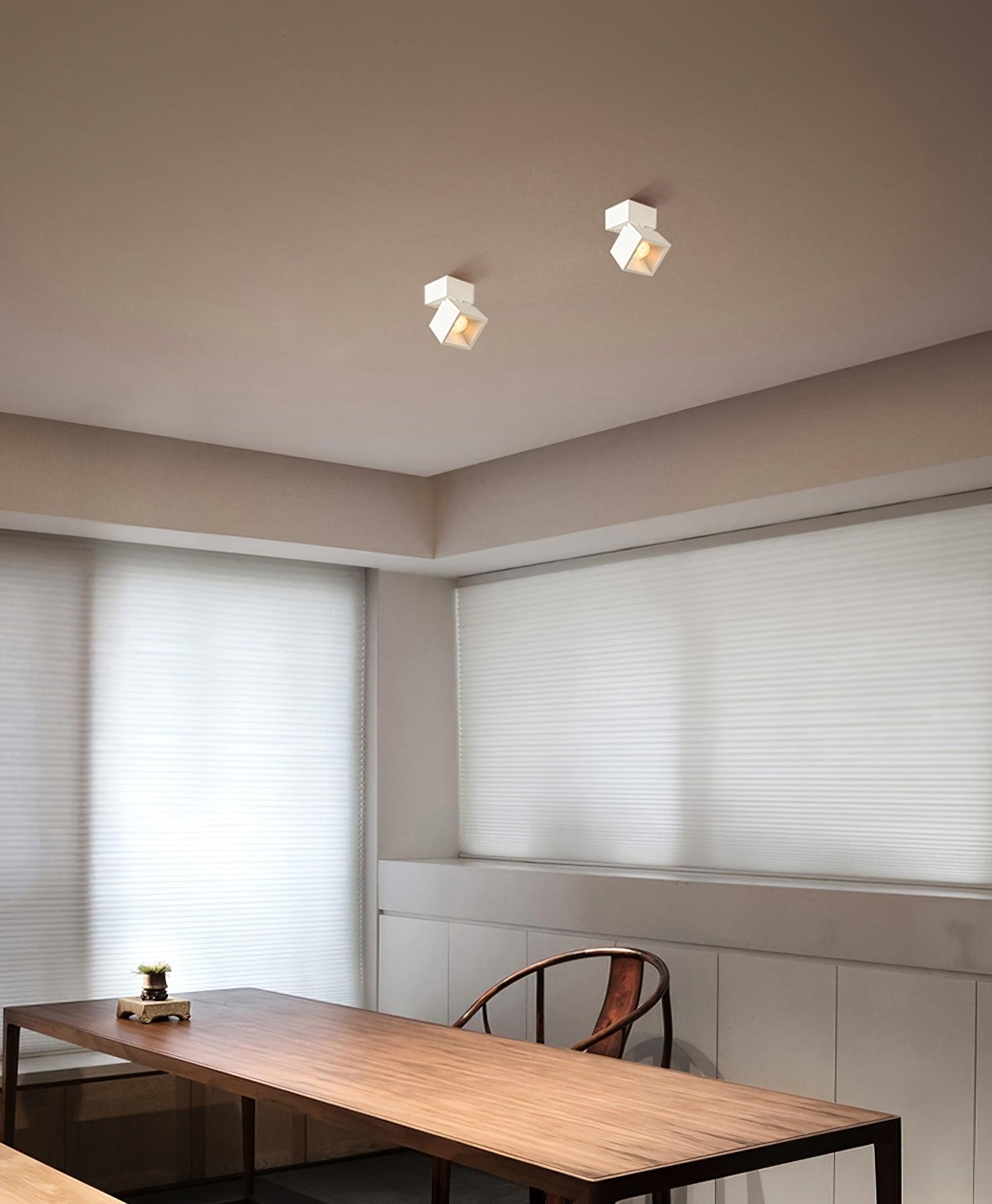 Alvynora Modern Minimalist Spotlights Ceiling lamp