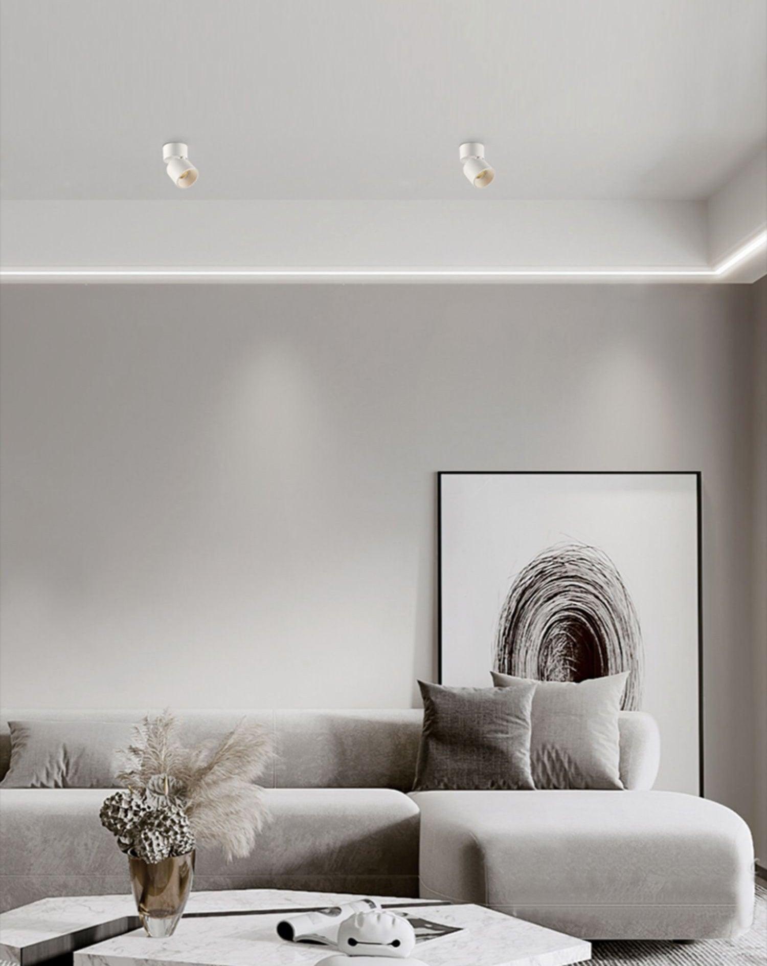 Alvynora Modern Minimalist Spotlights Ceiling lamp